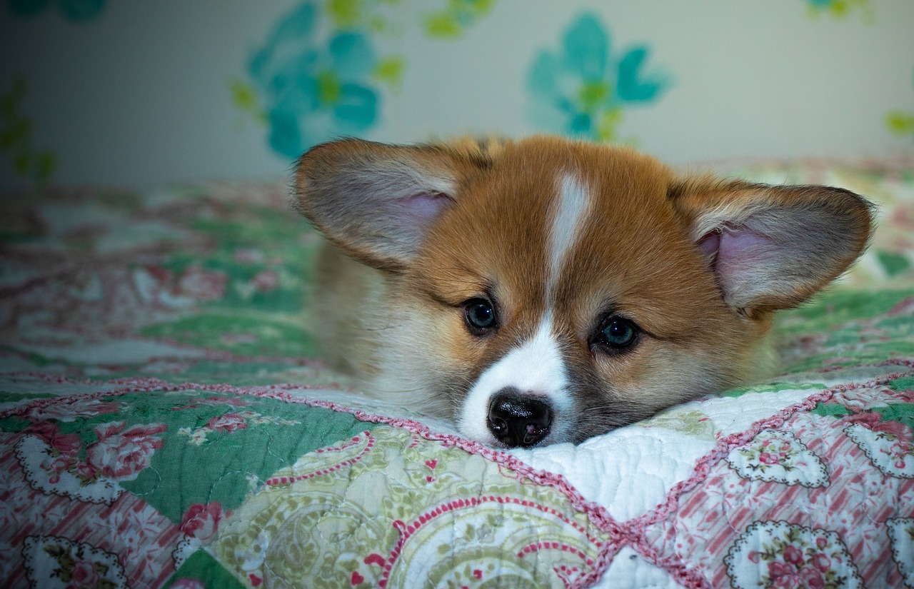 99exch Review: How India’s Emerging Trading Platform is Shaping Digital Finance